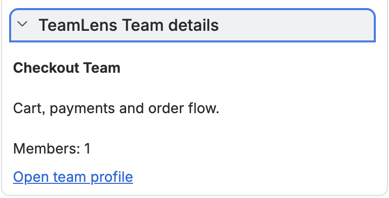 Team details panel on an issue